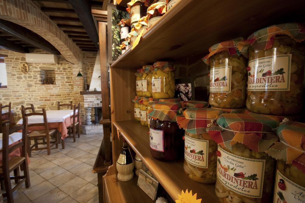 Agriturismo Vecchio Gelso Ortezzano ภายนอก รูปภาพ
