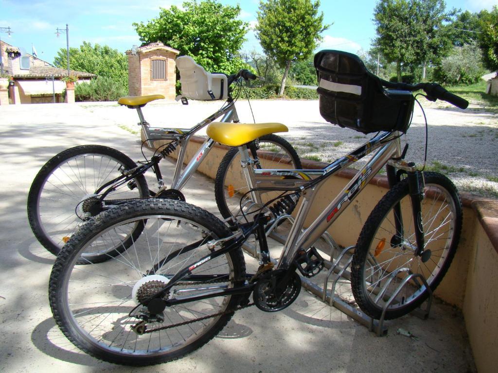 Agriturismo Vecchio Gelso Ortezzano ภายนอก รูปภาพ