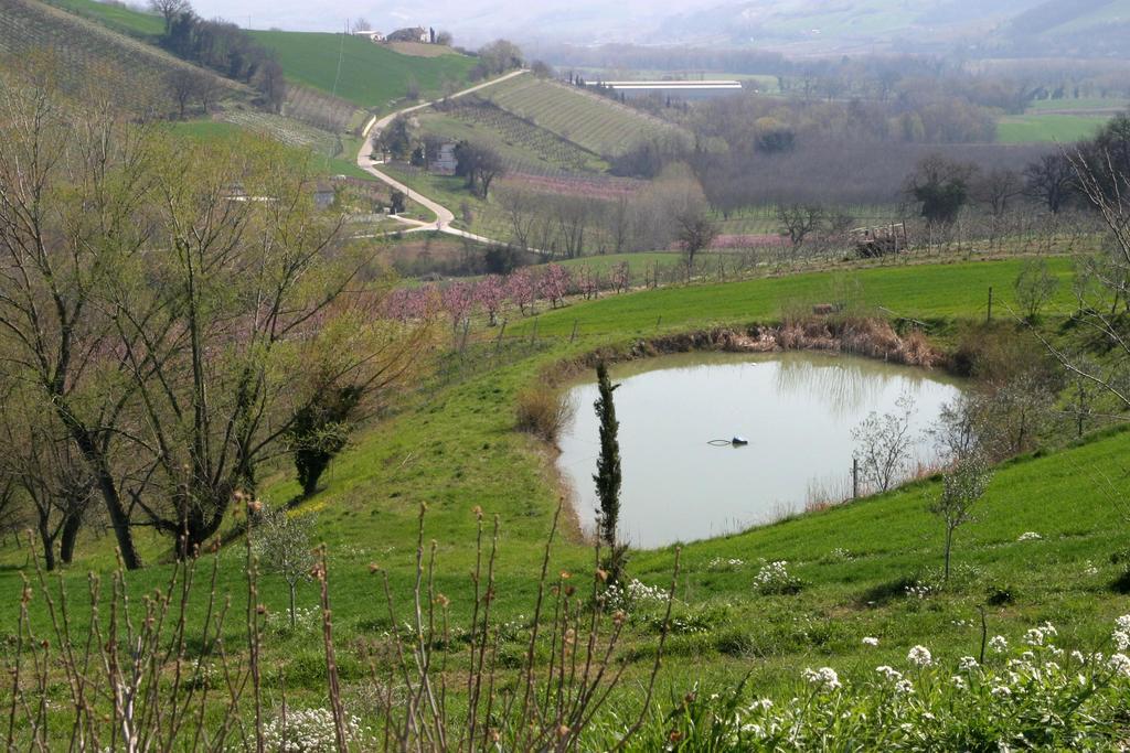 Agriturismo Vecchio Gelso Ortezzano ภายนอก รูปภาพ