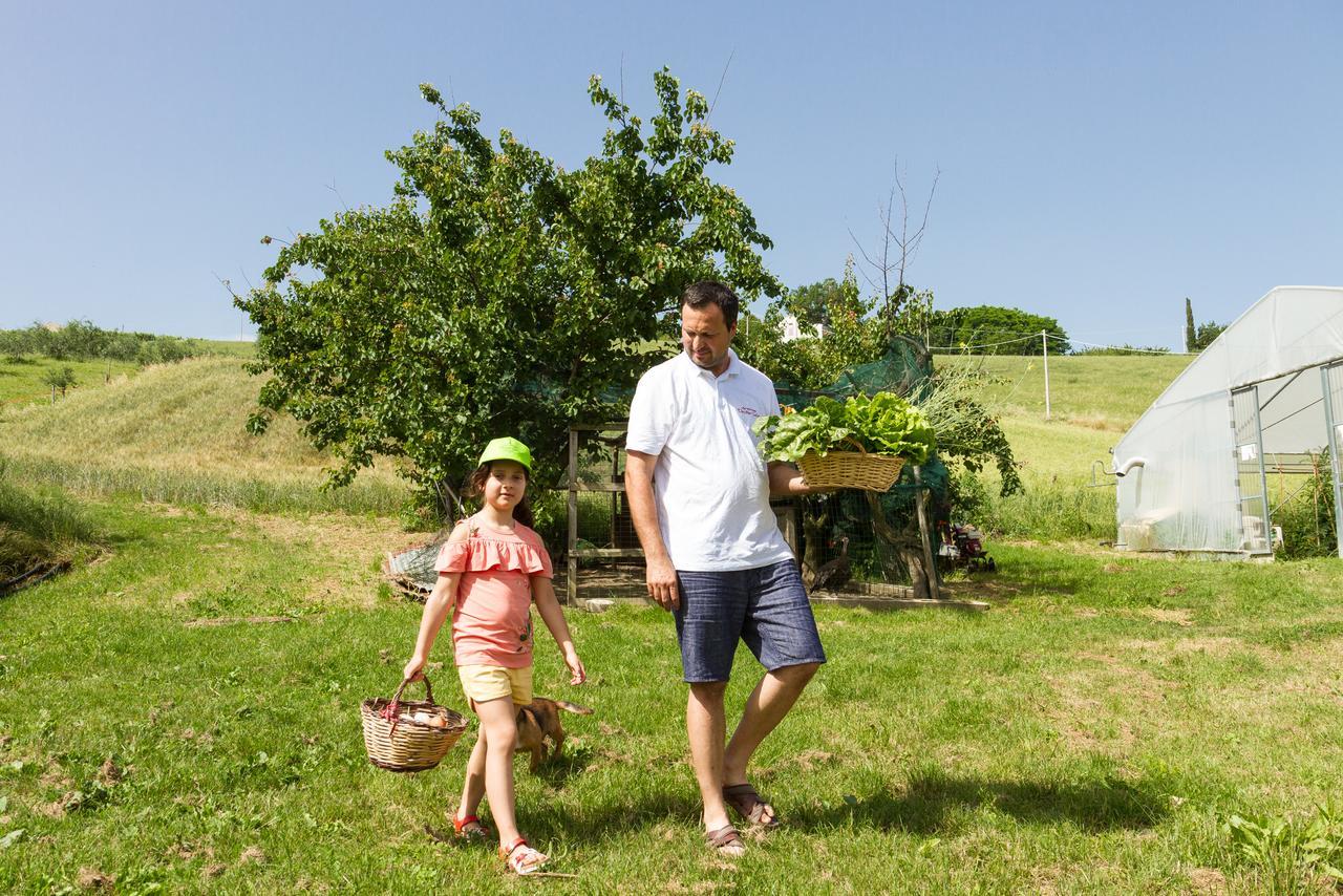 Agriturismo Vecchio Gelso Ortezzano ภายนอก รูปภาพ